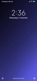 Purple Lite Dual