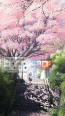 AE流年花开