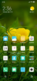 花开