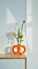 List of plants suitable for indoor use