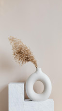 Plant feather