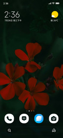 Scarlet Field