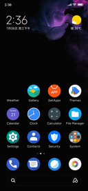 Google Pixel  V13