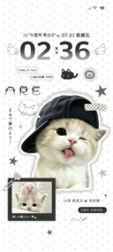 ins撕纸萌萌小猫