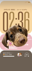 OS腊肠弹幕爱你老己