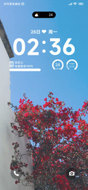 ins花海
