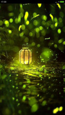 萤火虫（动态落雨）
