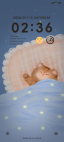Lazy Cat