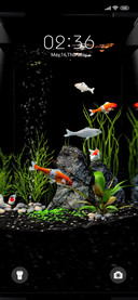 Aquarium
