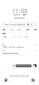 情感废物