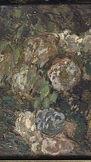 Rijksmuseum2021021909