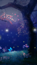 仲夏夜的秘密