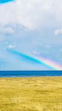 Snow Mountain Cloud Layer Rainbow Lake Grassland