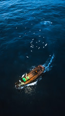 Fishing the starry river in pure deep blue 2