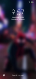 Red &amp; Black Spider