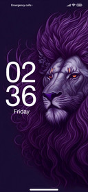Minimal Lion