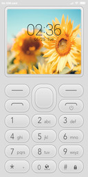 FeaturePhoneW NY