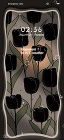 Dark black tulip