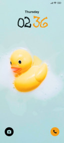 The Bathing Duck