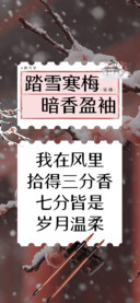 踏雪寒梅暗香盈袖