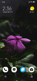 Amethyst Bloom