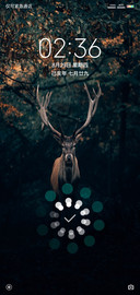 animals