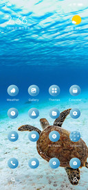 Green Turtle