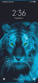 Blue Tiger