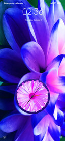 Floraa_DWM20