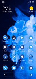Blue Blossom