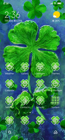 Four Leaf Clover