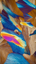 microphotography ©YIEN2021