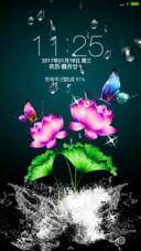 梦幻蝶恋花