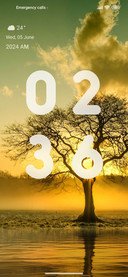 Trafulla Trees