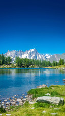 Summer in the Alps