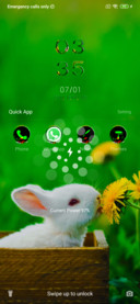 Cute Bunny