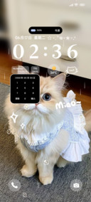 奶系猫咪酱ins