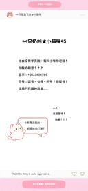 一只奶凶的小猫咪45