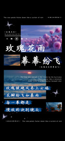 玫瑰花雨幕幕纷飞