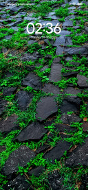 Grassyrock_DWM2