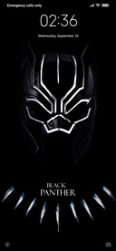 Panther_DWM20