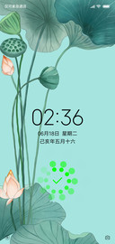 唯美的荷花