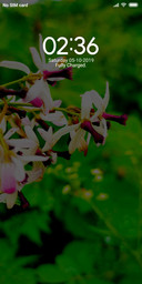 Bunch of flowers_DWM2