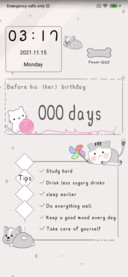 Cute cat