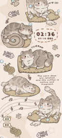 慵懒小猫咪