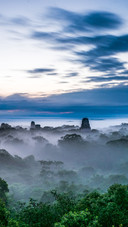 The mayan temple in tikal