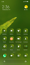 Wildlife_Clock