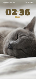 Meowfia