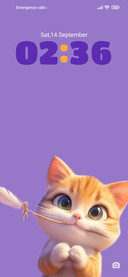 big eyed cat