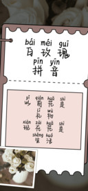 白玫瑰拼音
